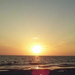 Meet your Posher, Flor